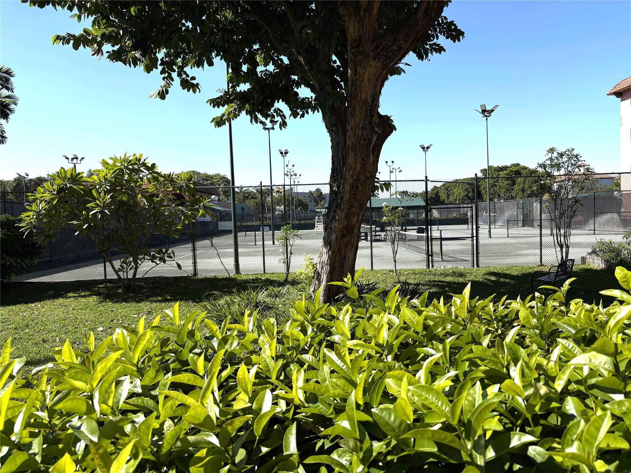 TENNIS CLUB TILDEN CONDO - Residential