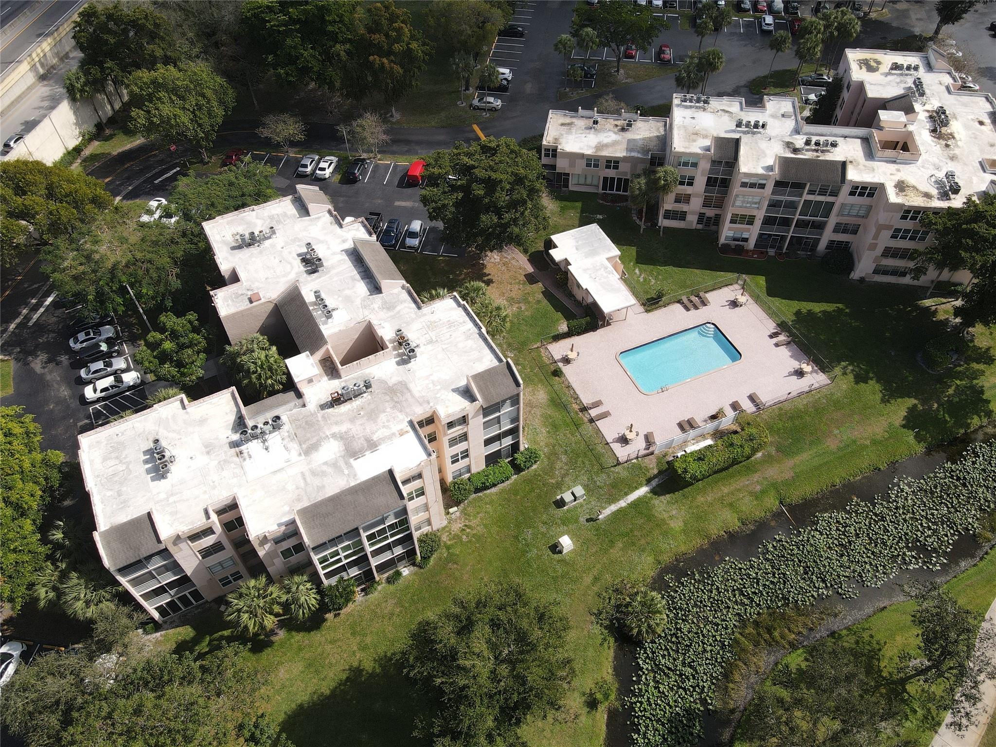 Orchid Tree - Residential