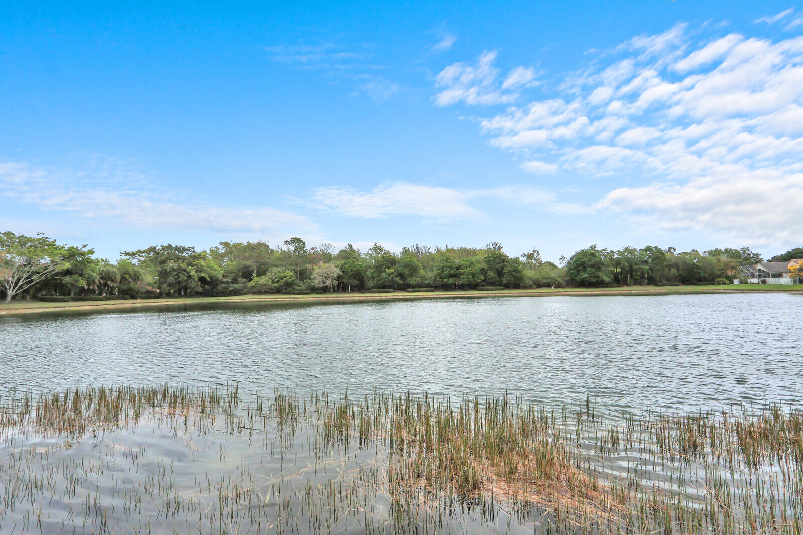 THOROUGHBRED LAKE ESTATES 1 - Residential