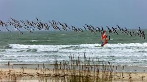 2700 NORTH OCEAN CONDO - Residential Lease