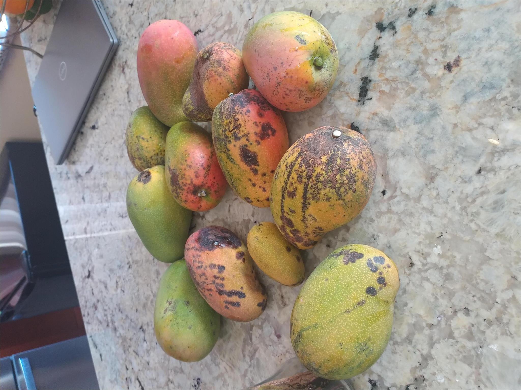 BANYAN TRAILS - Residential Lease