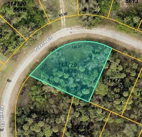 FLAVIA CT North Port FL 34288