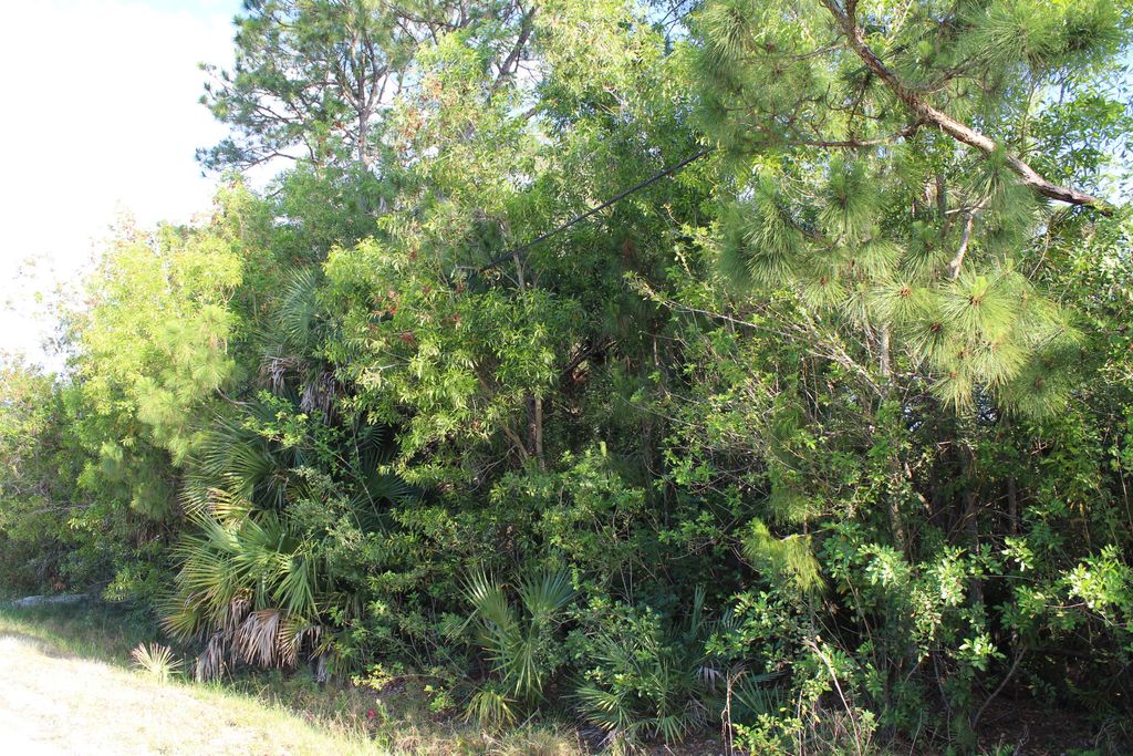 Photo of 16897 89th Place N, Loxahatchee, FL 33470 (MLS # R11004714)