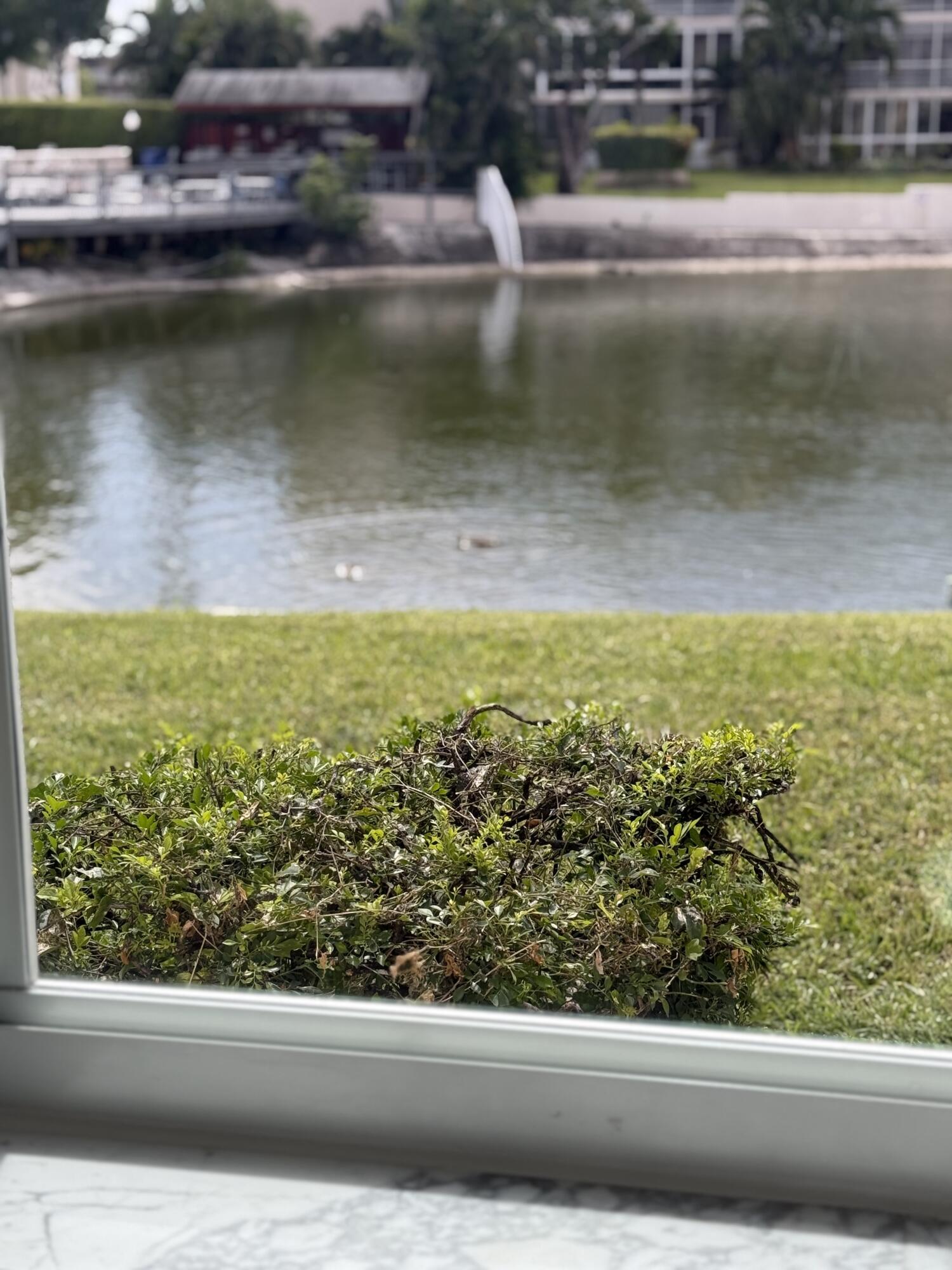 Lake Clarke Gardens Condo 9 - Residential