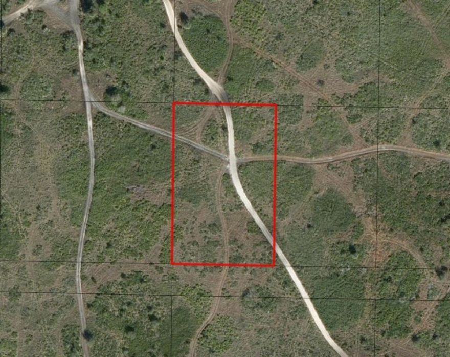 Oversized lot in Viking Estates. Close to the Kissimmee Prairie State Park. Bring your 4 -wheelers. This property is not only ideal for recreational uses such has camping, hunting and shooting, but it’s agricultural as well.Owner financing available