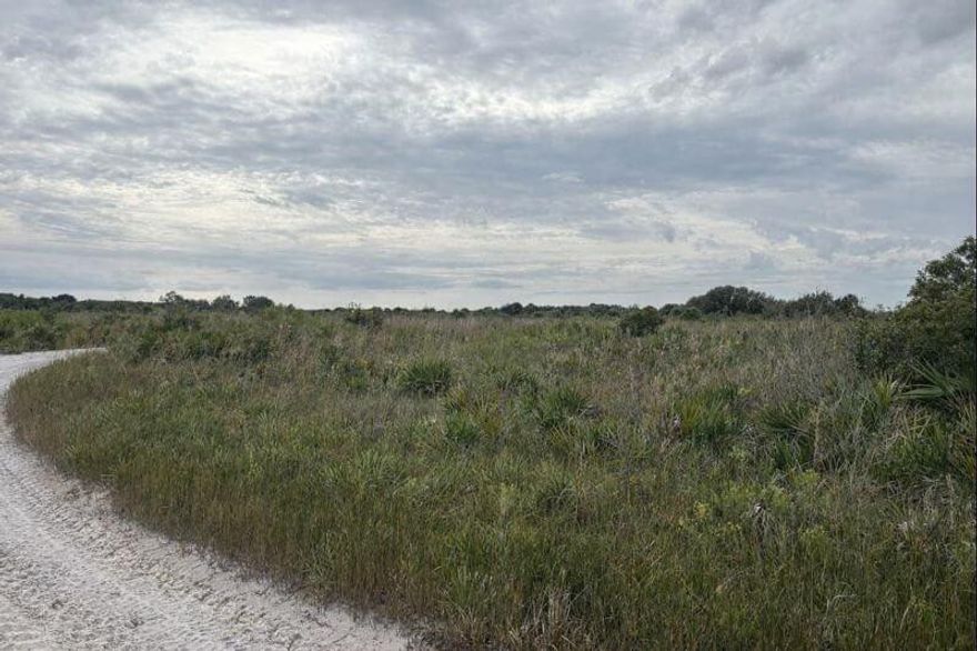 Oversized lot in Viking Estates. Close to the Kissimmee Prairie State Park. Bring your 4 -wheelers. This property is not only ideal for recreational uses such has camping, hunting and shooting, but it’s agricultural as well.Owner financing available