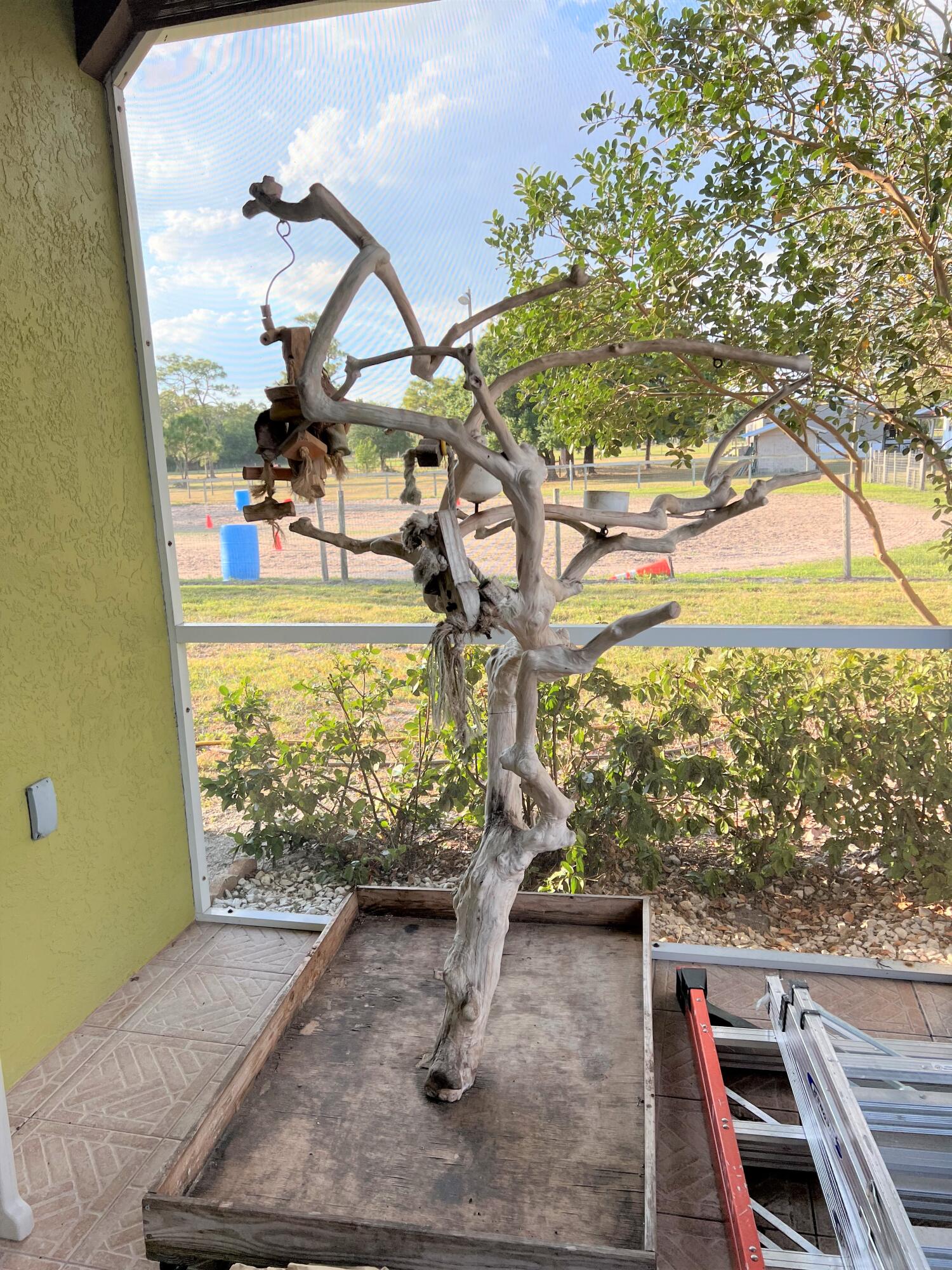 PLATTS BLUFF RANCHES - Residential