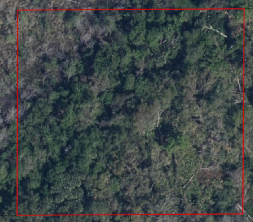 Owner Financing available for this double lot in Cocoa. This area has yet to be developed, despite it's proximity to the coast. Great hunting/camping and/or agricultural property (food forest, greenhouses, beekeeping, etc...).