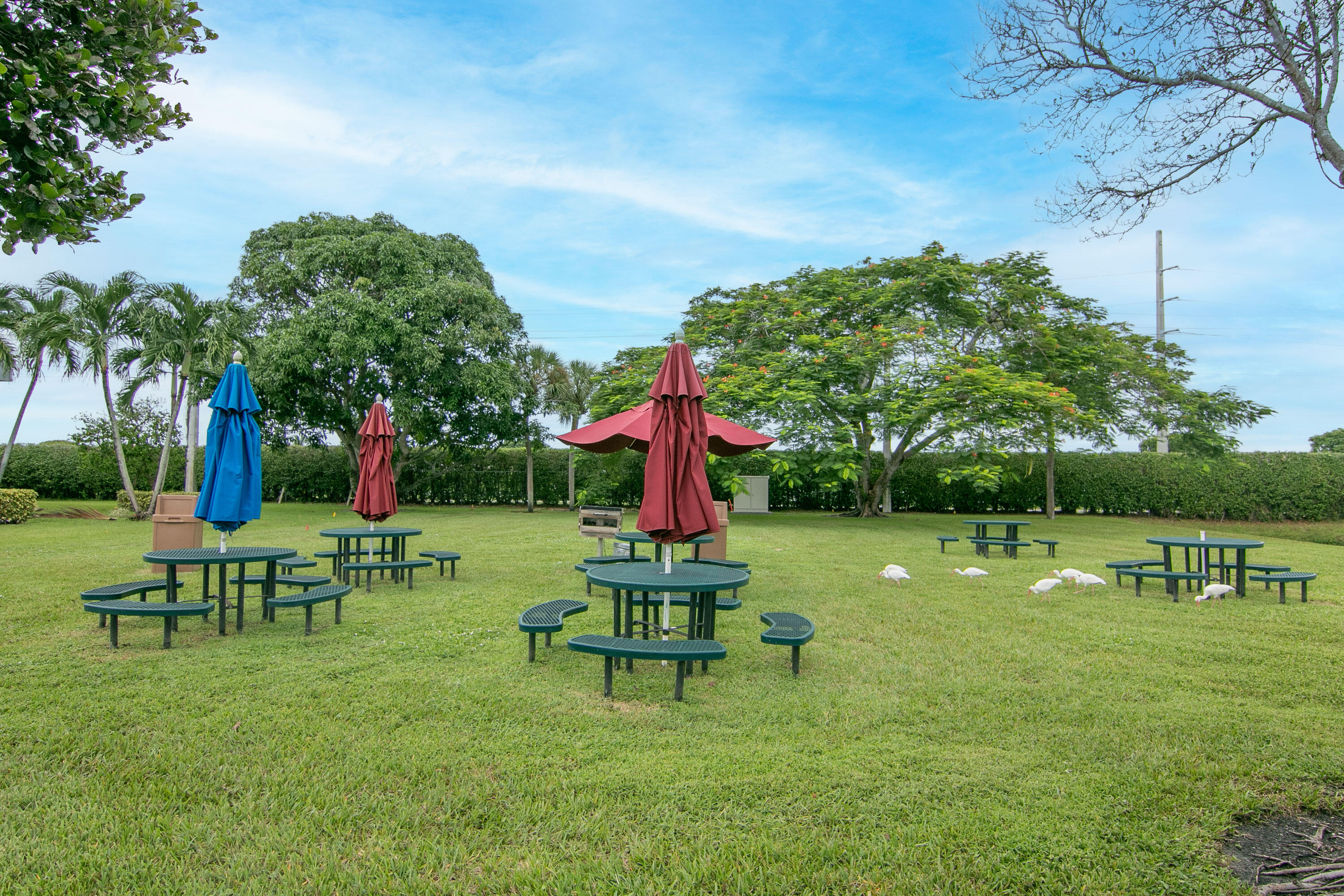 KINGS POINT BURGUNDY CONDOS - Residential Lease