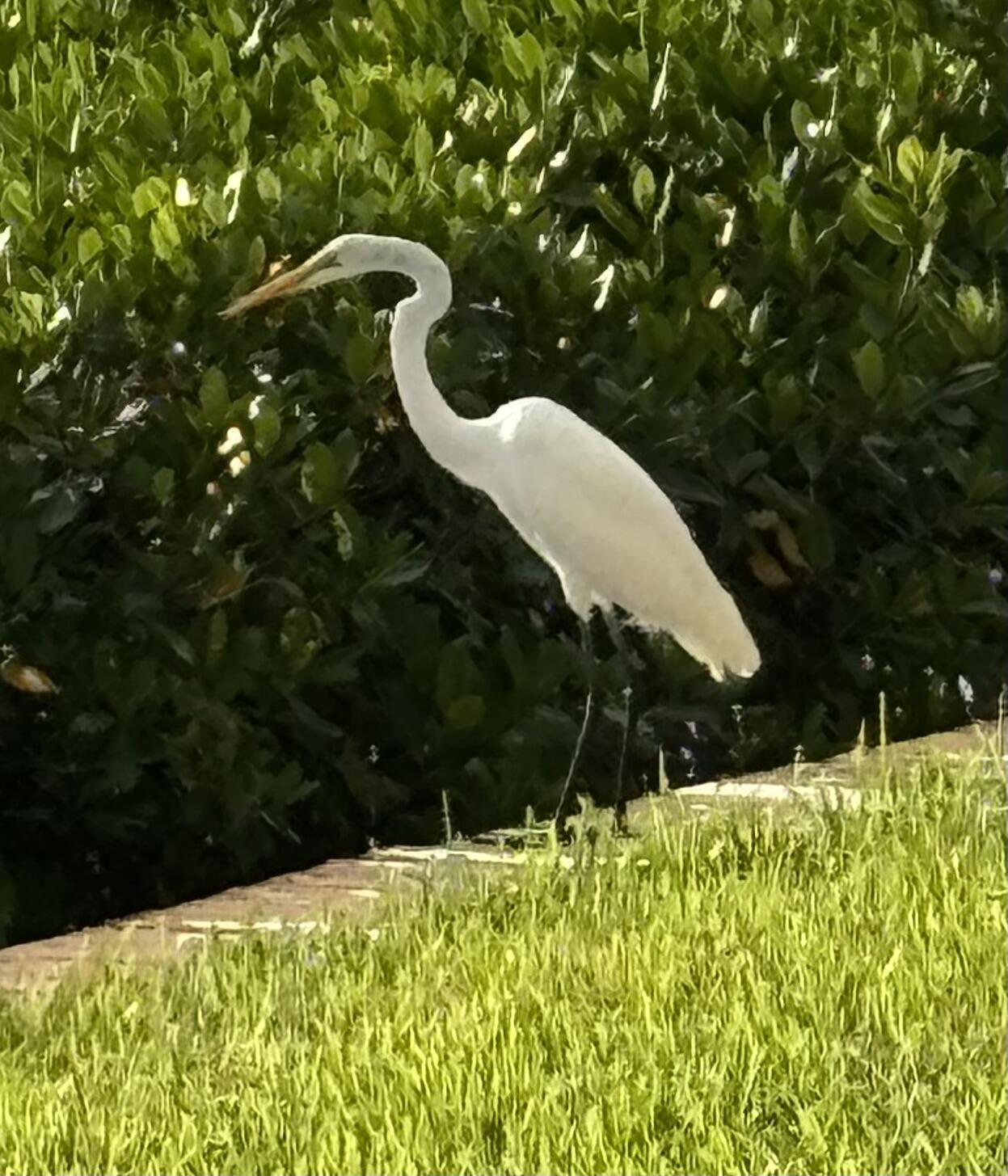 THE SANDPEBBLE CONDO - Residential
