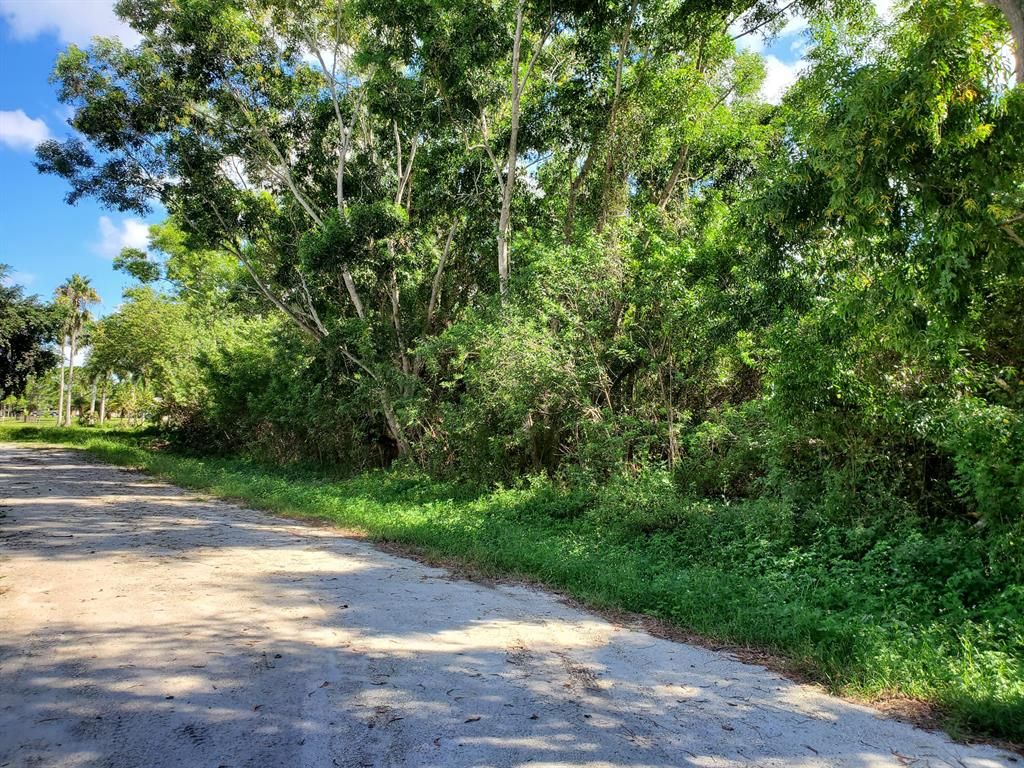 Photo of 18268 N 43rd Rd, The Acreage, FL 33470 (MLS # R10752412)