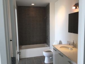 TWO MIDTOWN MIAMI CONDO - Residential