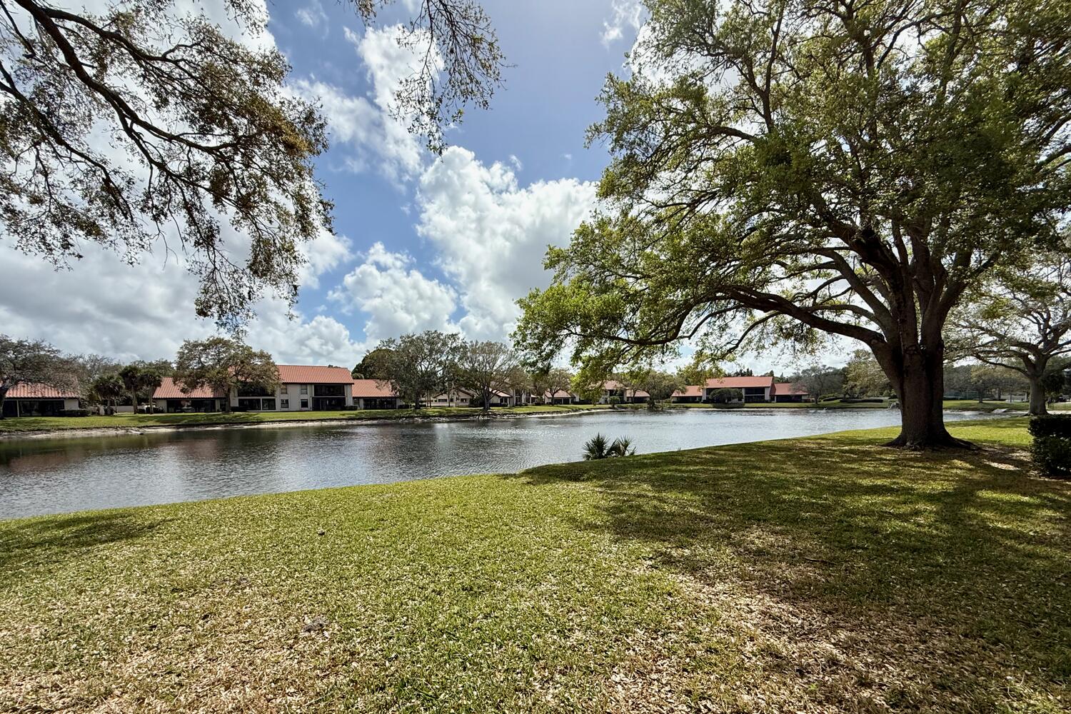 MONTEGO COVE CONDO - Residential
