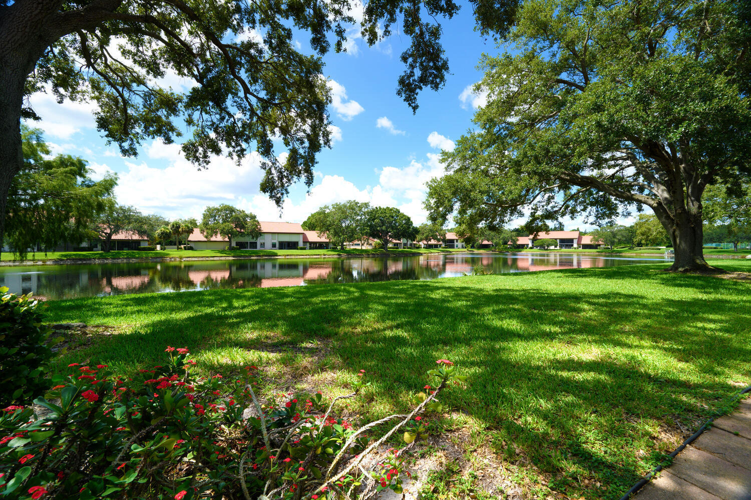 MONTEGO COVE CONDO - Residential