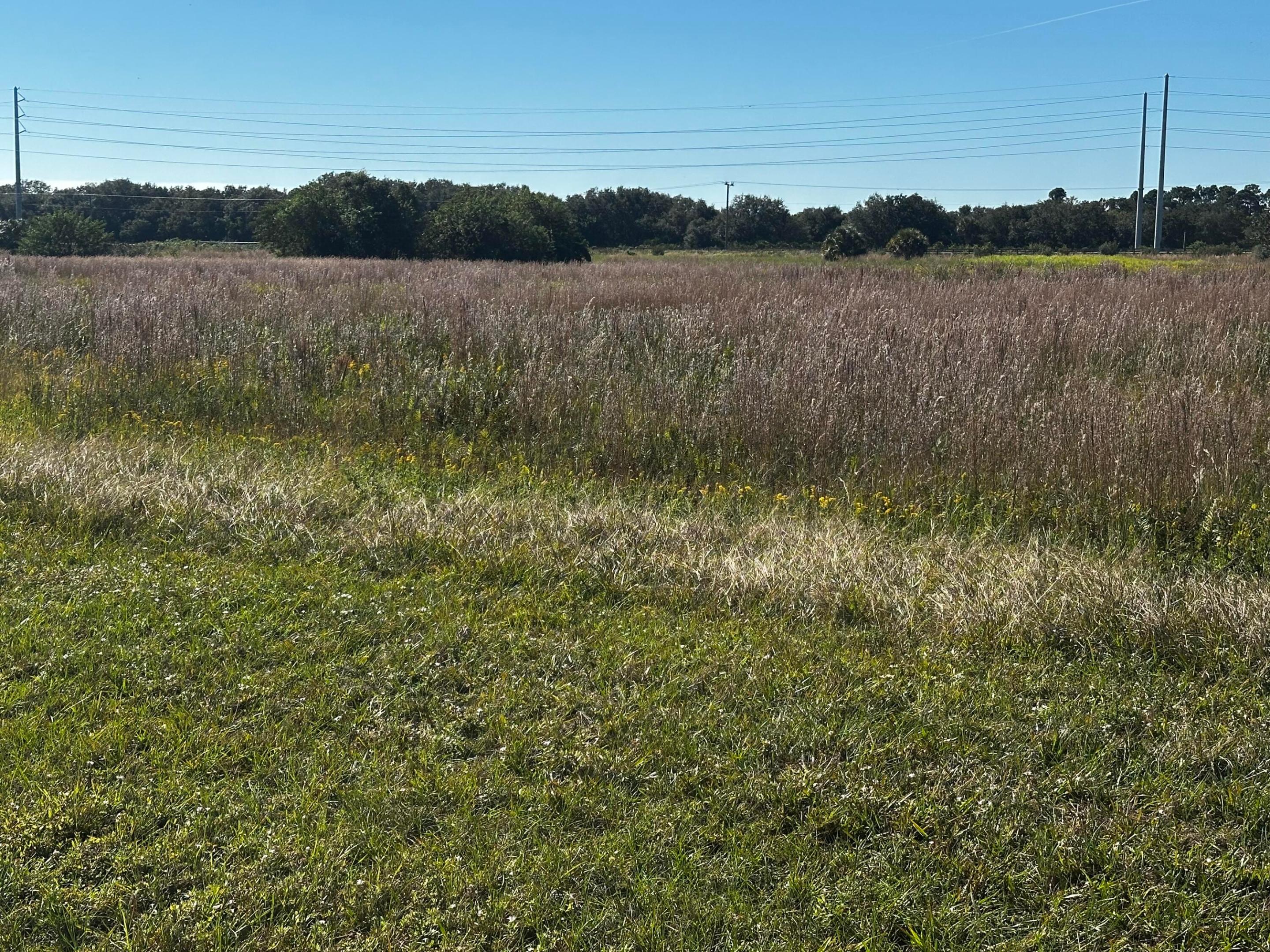 SHERMAN WOOD RANCHES - Land