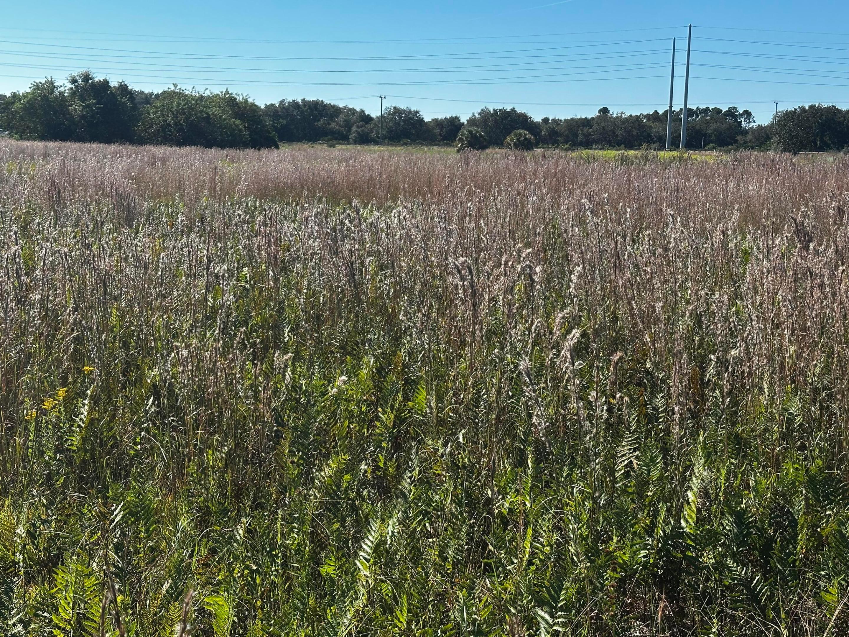 SHERMAN WOOD RANCHES - Land