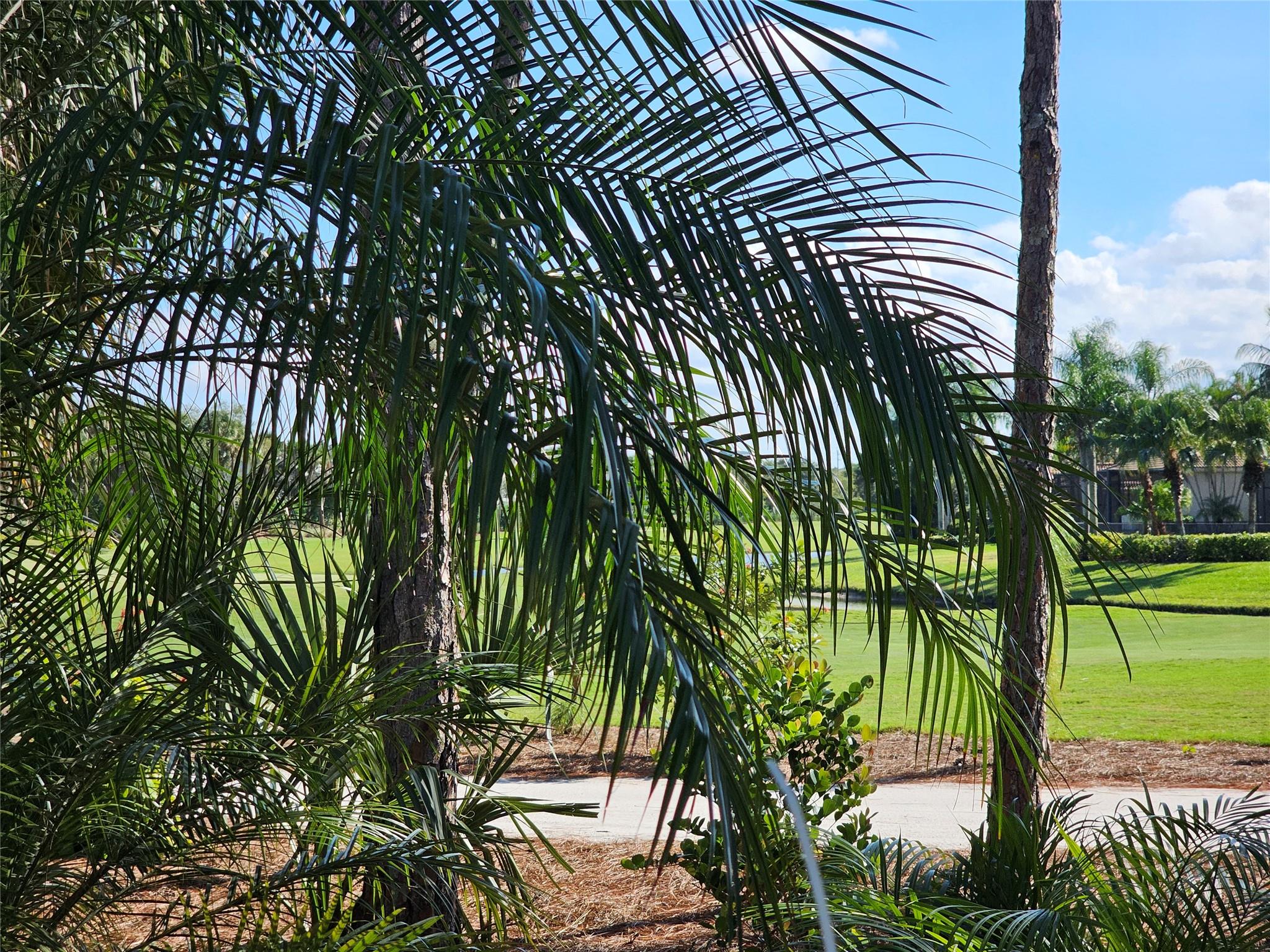 WYCLIFFE TR N LT 5 - Residential