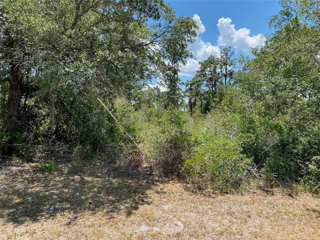 Indian Lake Estates - Land