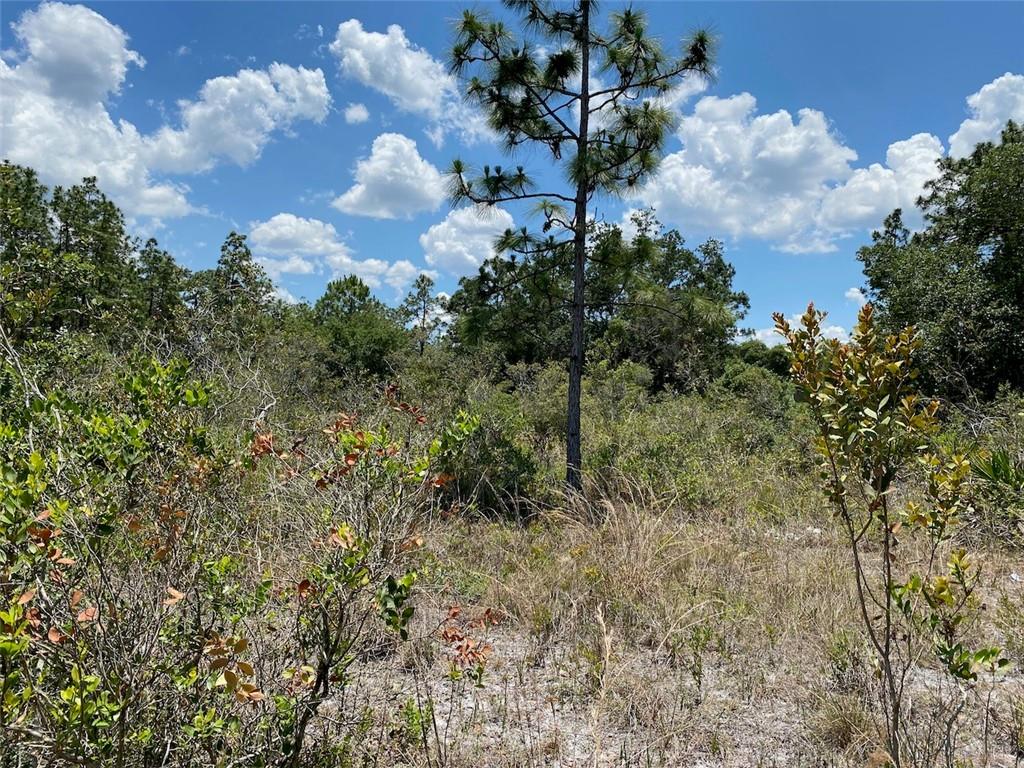 Lot 24 Indian Lake Drive