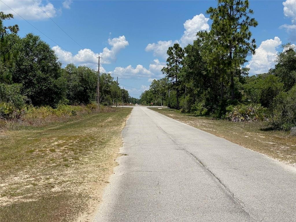 Indian Lake Estates - Land