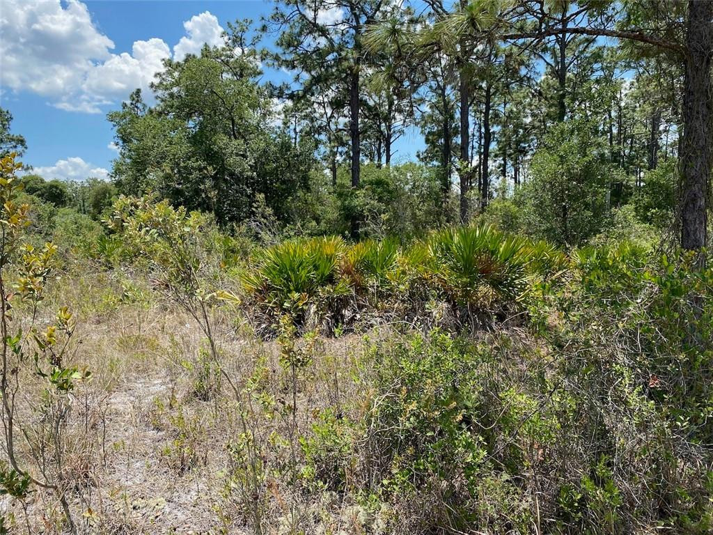 Indian Lake Estates - Land