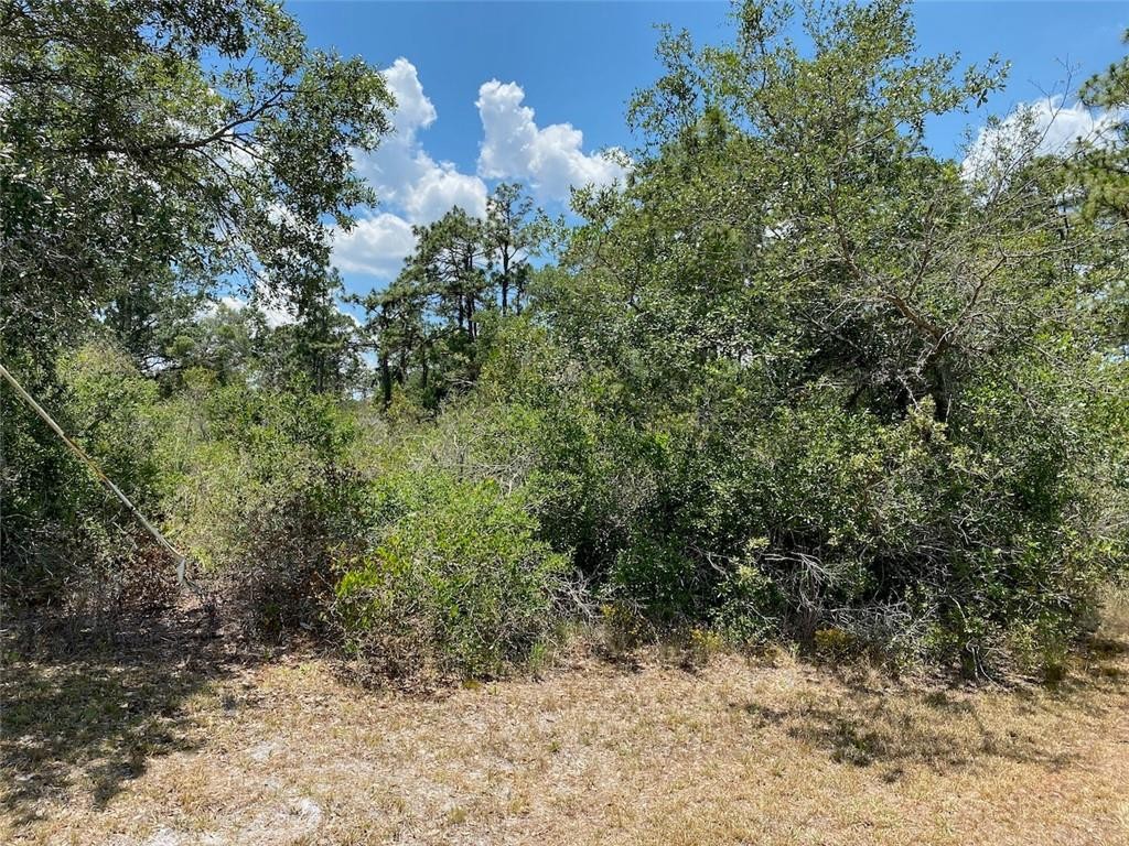 Indian Lake Estates - Land