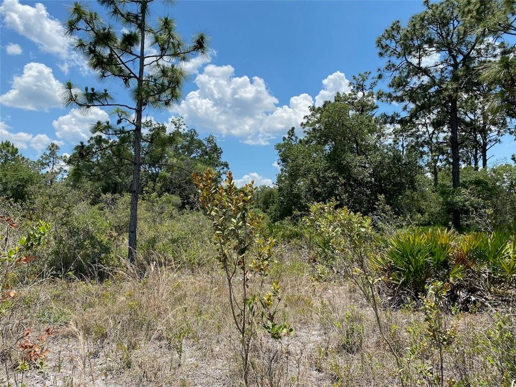 Indian Lake Estates - Land