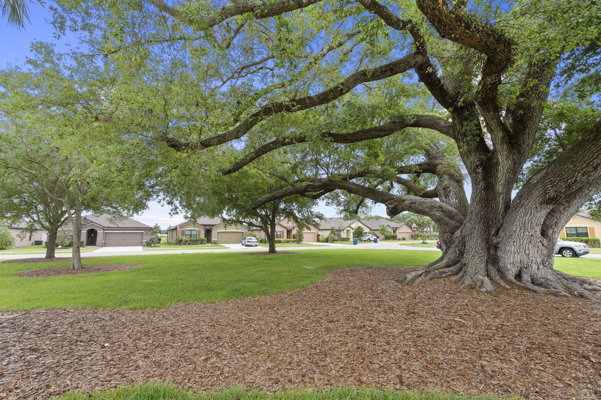 CELEBRATION POINTE - Residential