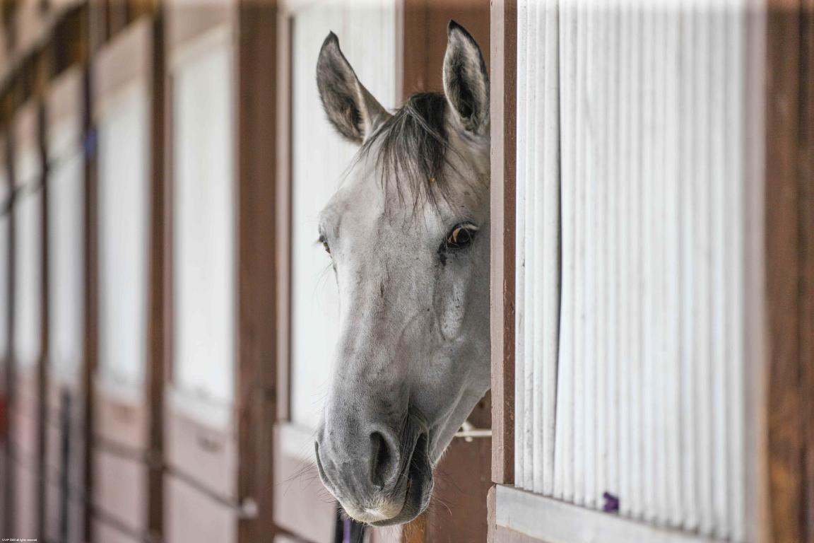Palm Beach Point - Sunglade - Residential