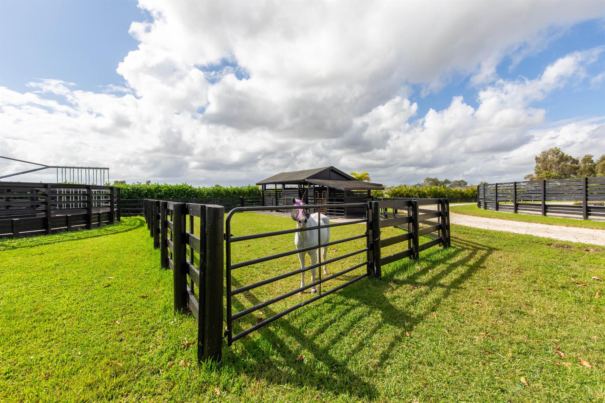 Palm Beach Point - Sungla - Residential