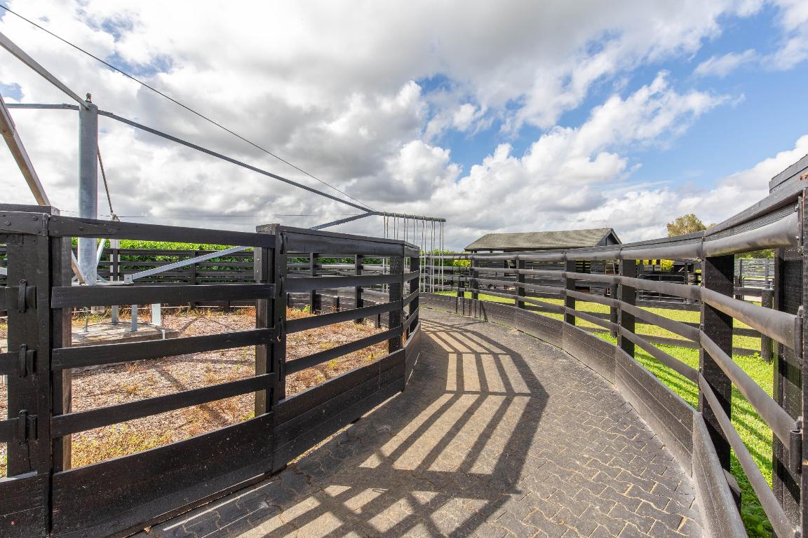 Palm Beach Point - Sunglade - Residential