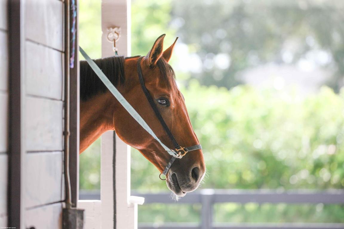 Palm Beach Point - Sunglade - Residential