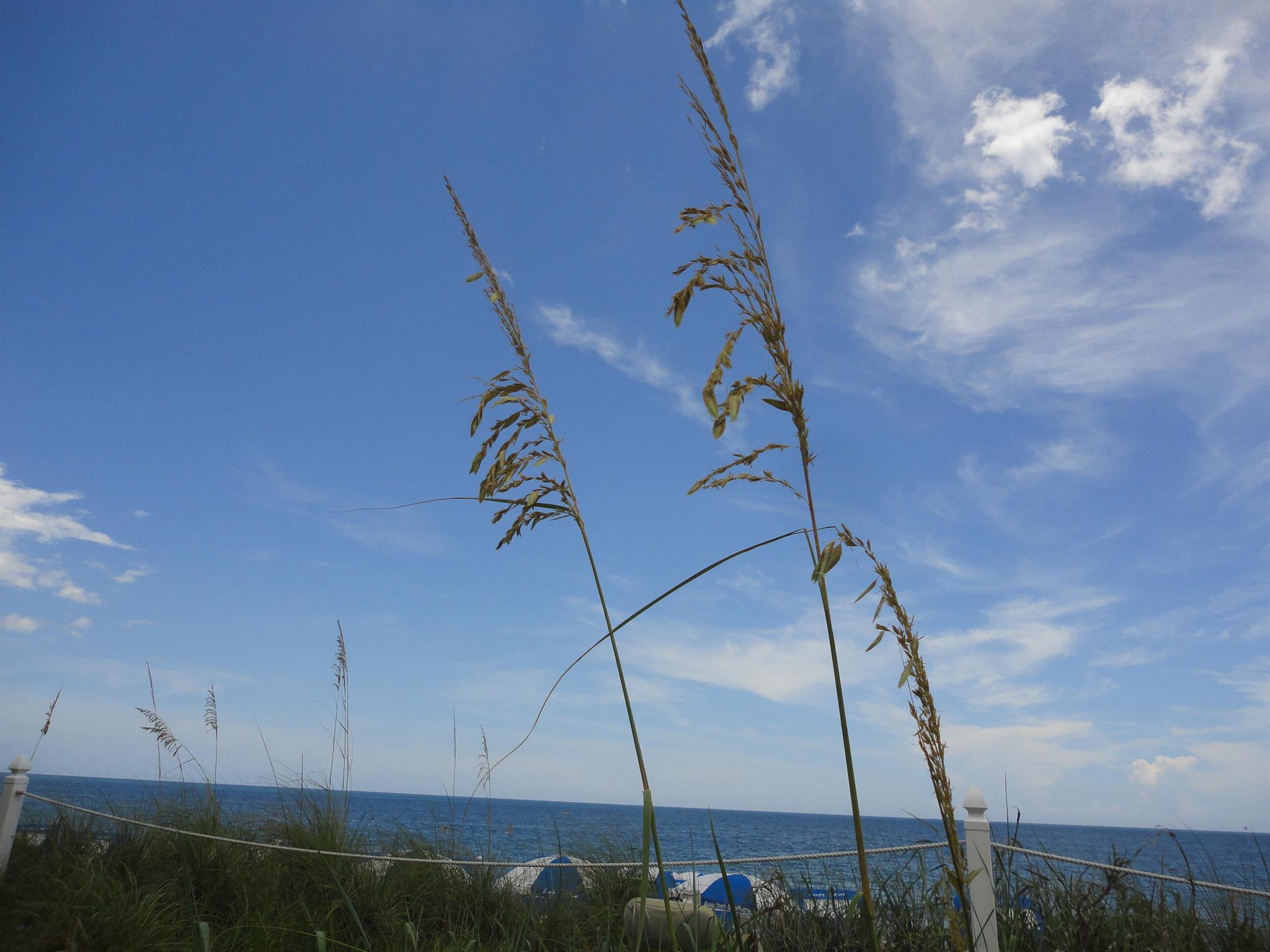 VERO BEACH HIGHLANDS UNIT - Residential Lease