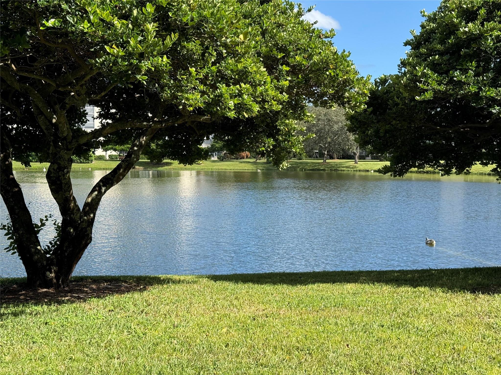 WYNMOOR - Residential