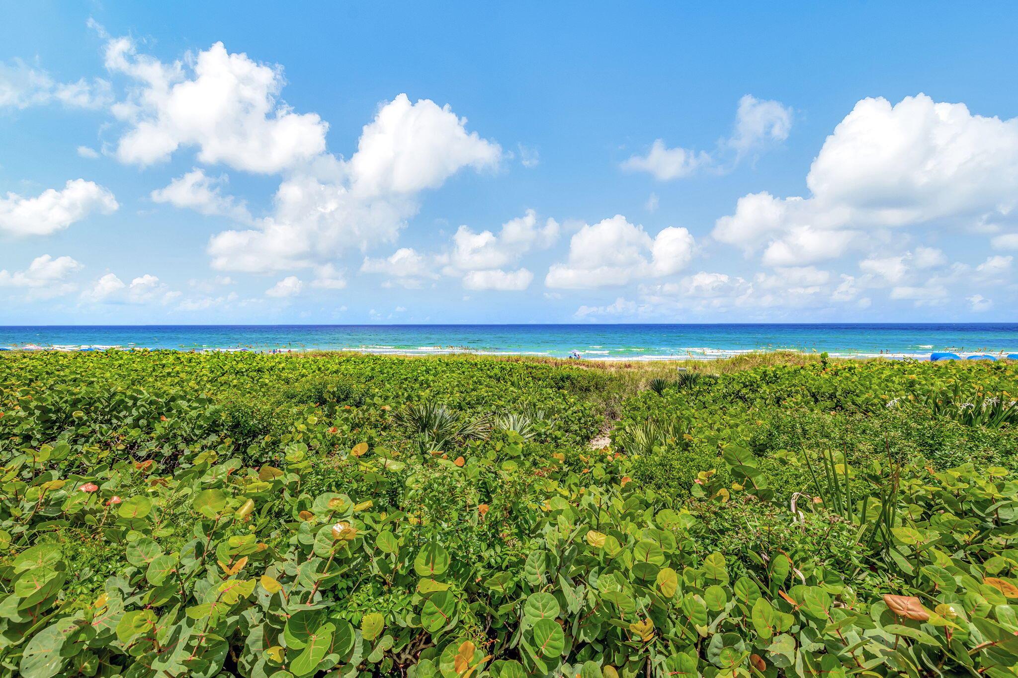 DELRAY OCEAN ESTATES - Residential