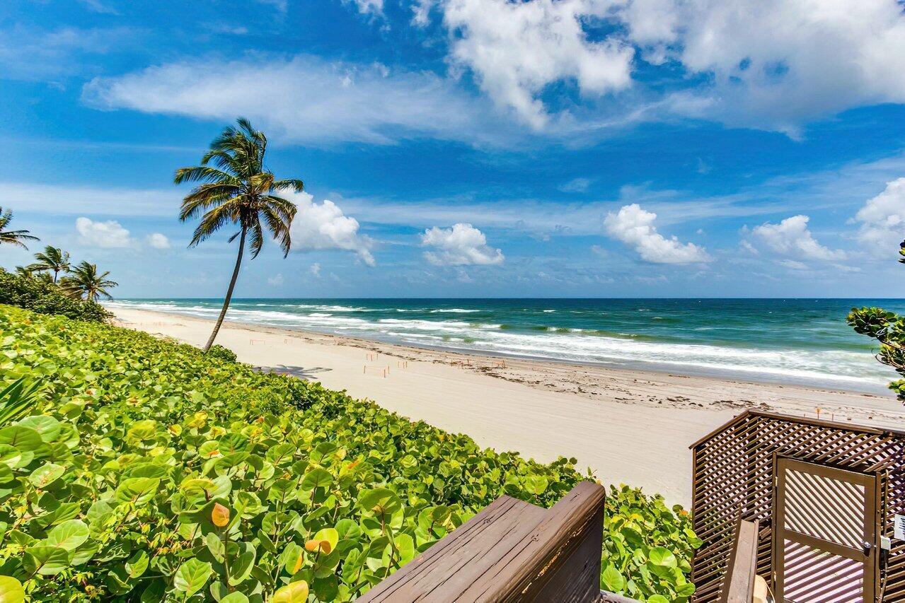 BRIGHTON - Residential