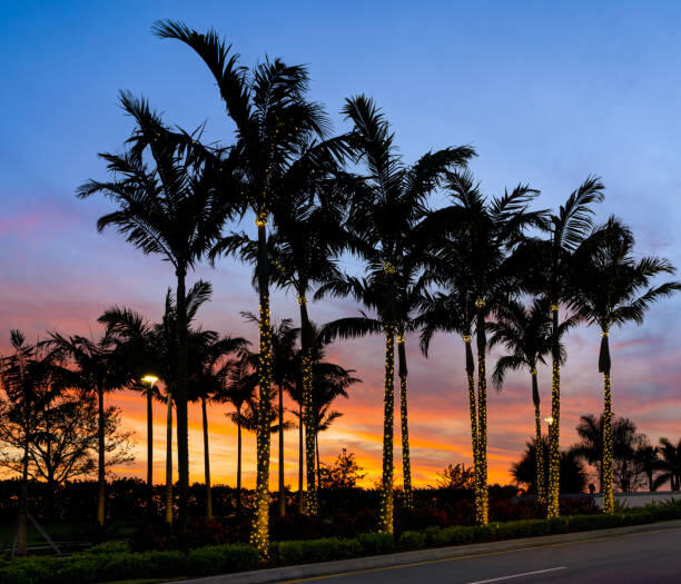 TRADITION PLAT NO 2 - Residential