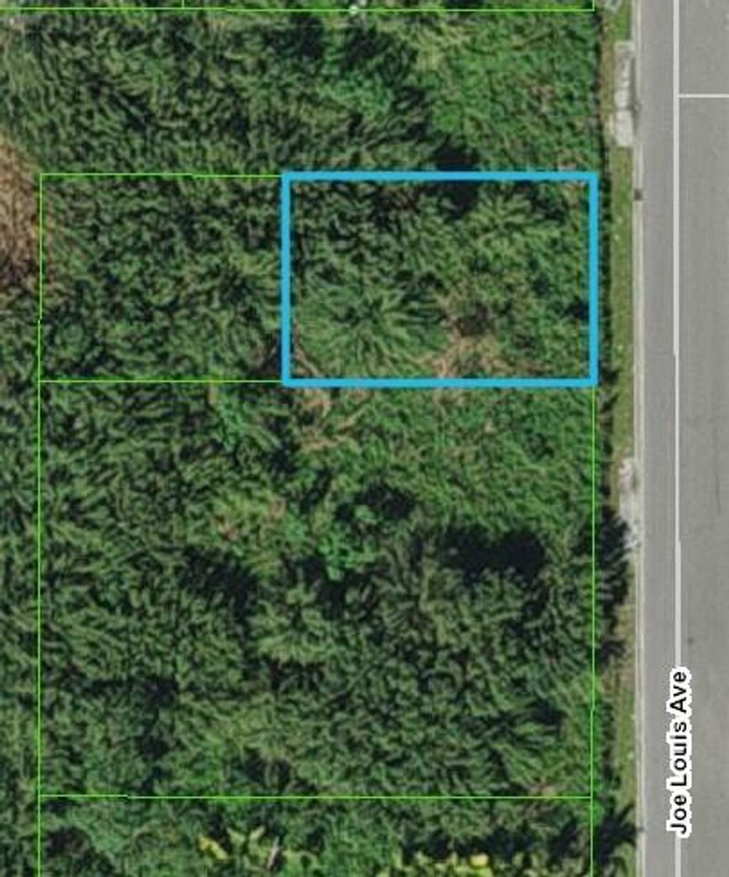 Photo of 0 Joe Louis Avenue, Pahokee, FL 33476 (MLS # R10990357)