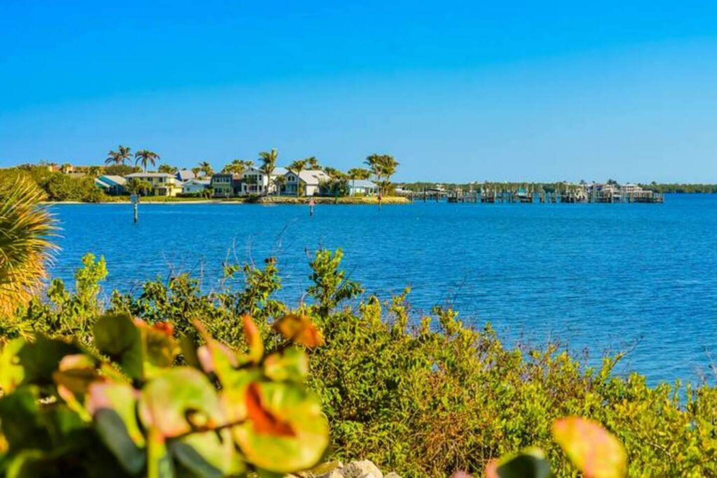 NEWPORT JENSEN (AKA INDIA - Residential Lease