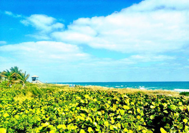 SERENA VISTA CONDO - Residential