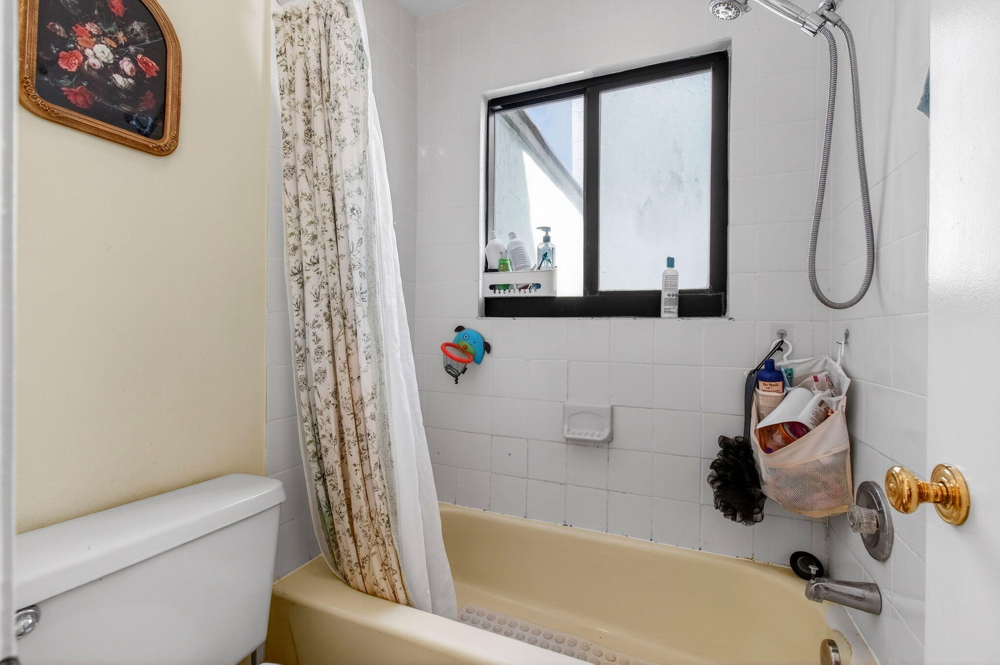 Pineapple Walk - Residential