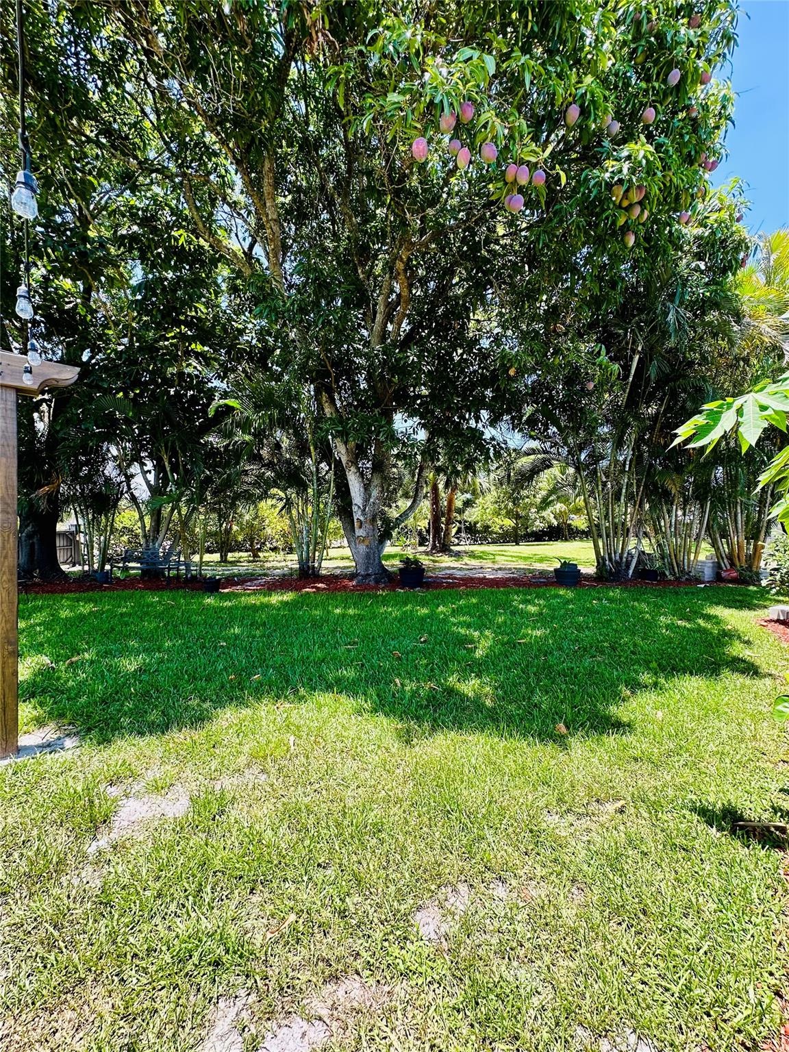 Build Your Dream Home in Port St. Lucie! This exceptional corner lot is nestled in a beautiful, well-established neighborhood, surrounded by stunning homes and serene landscapes. Located in the highly desirable area of Port St. Lucie, this property offers the perfect balance of tranquility and convenience. Just minutes from the ocean and surrounded by world-class golf courses, it’s an ideal setting for those who love nature, recreation, and coastal living. Don't miss the opportunity to create your dream home in this peaceful and prestigious location — the perfect canvas is waiting for the right owner. Survey available in the attachments