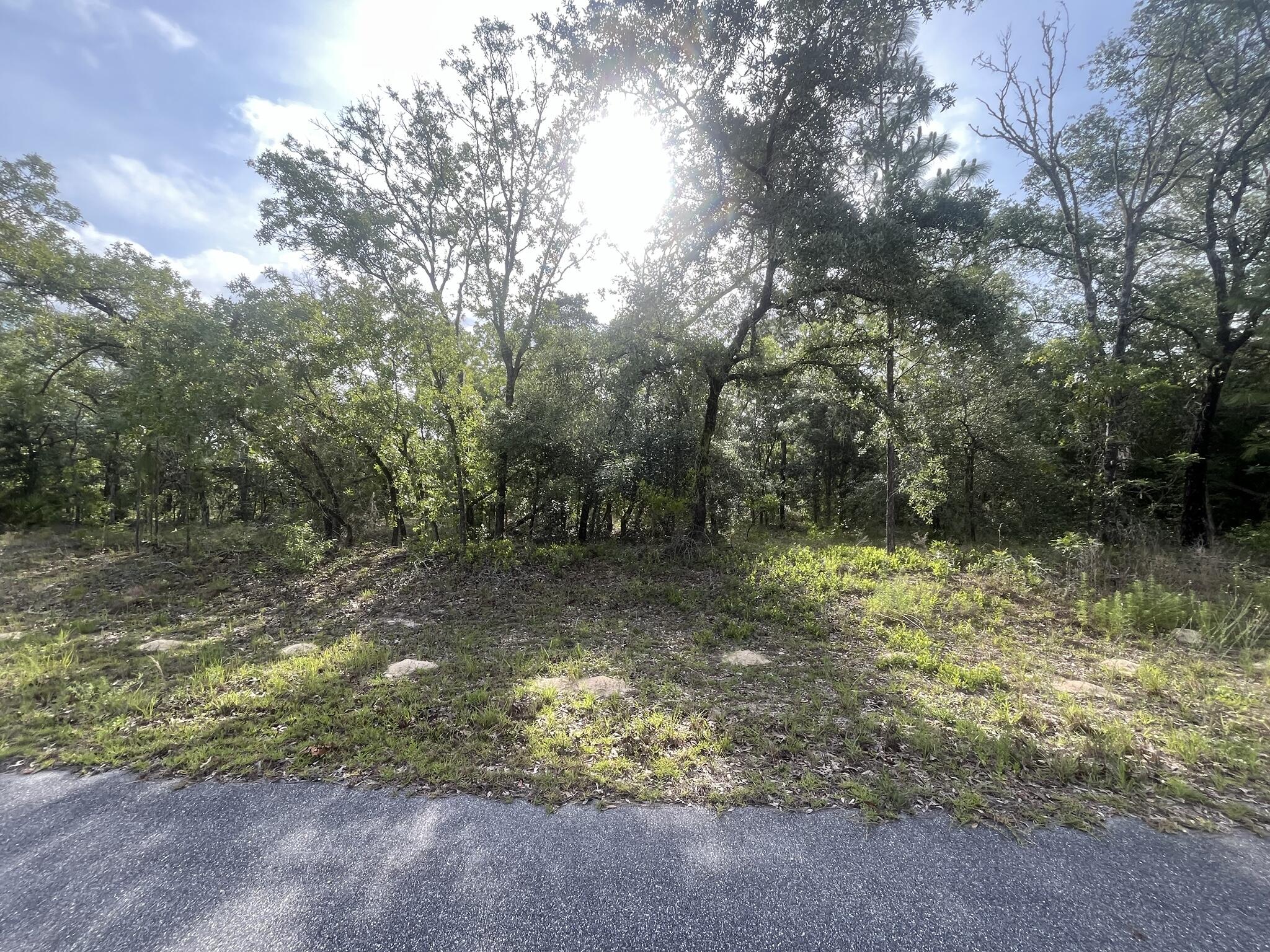 1321 W Delores Drive