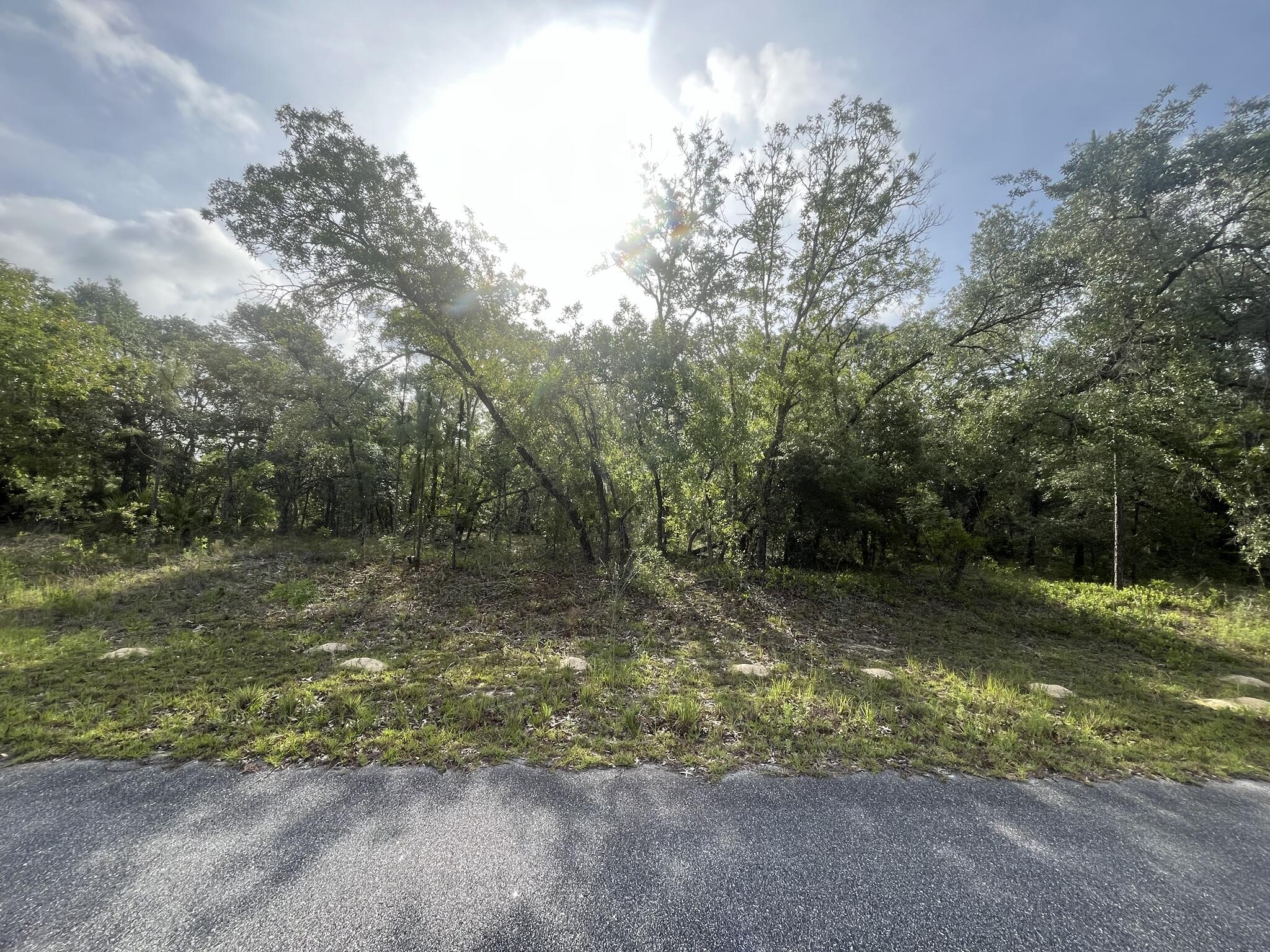 1321 W Delores Drive