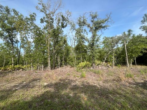 1321 W Delores Drive Citrus Springs FL 34434