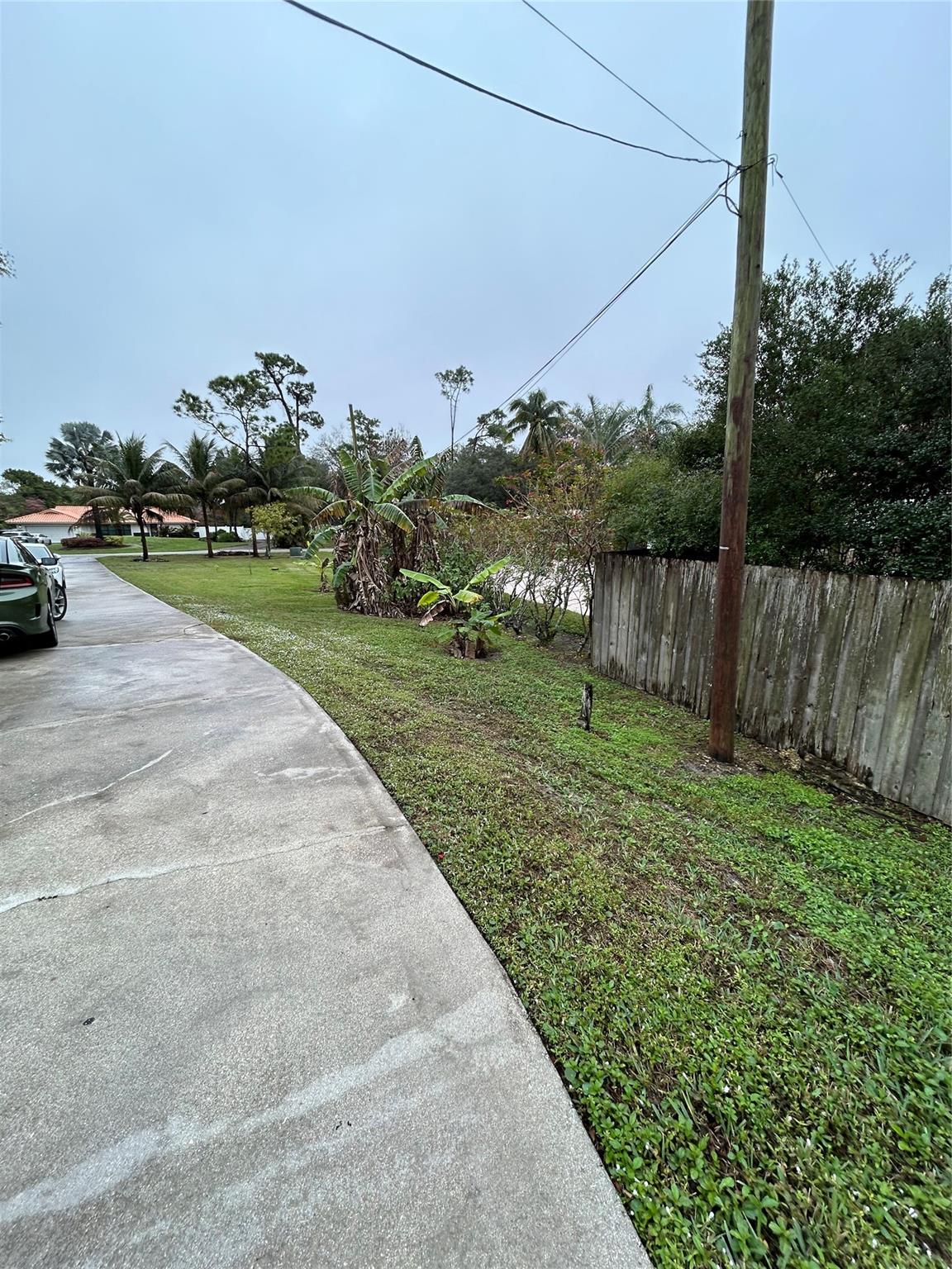 Pine Tree Estates - Residential