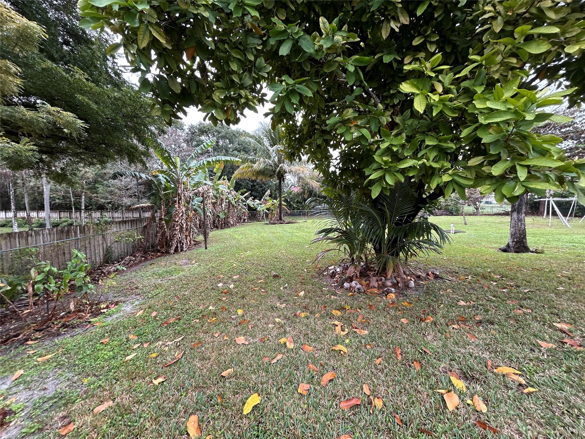 Pine Tree Estates - Residential
