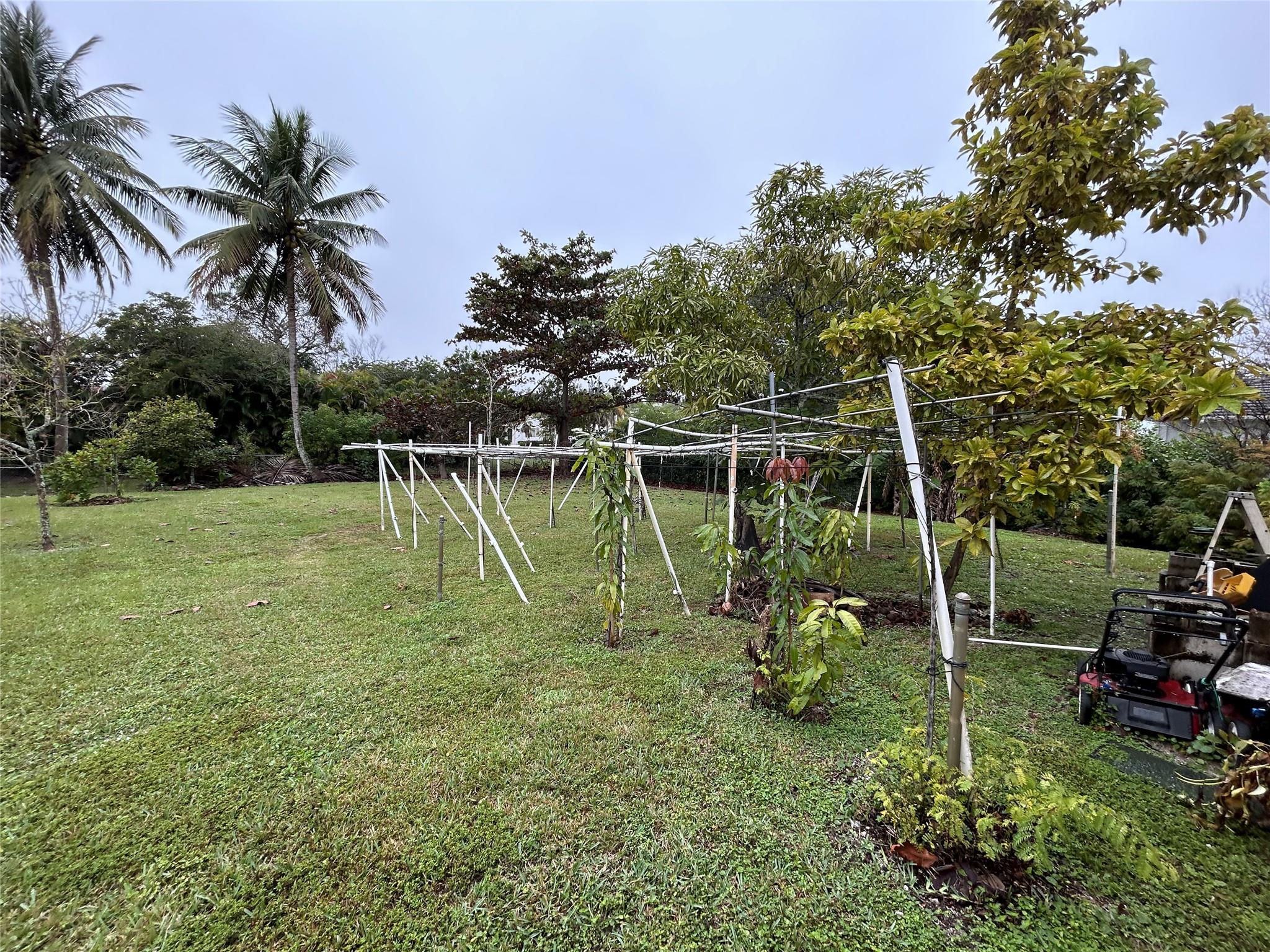 Pine Tree Estates - Residential