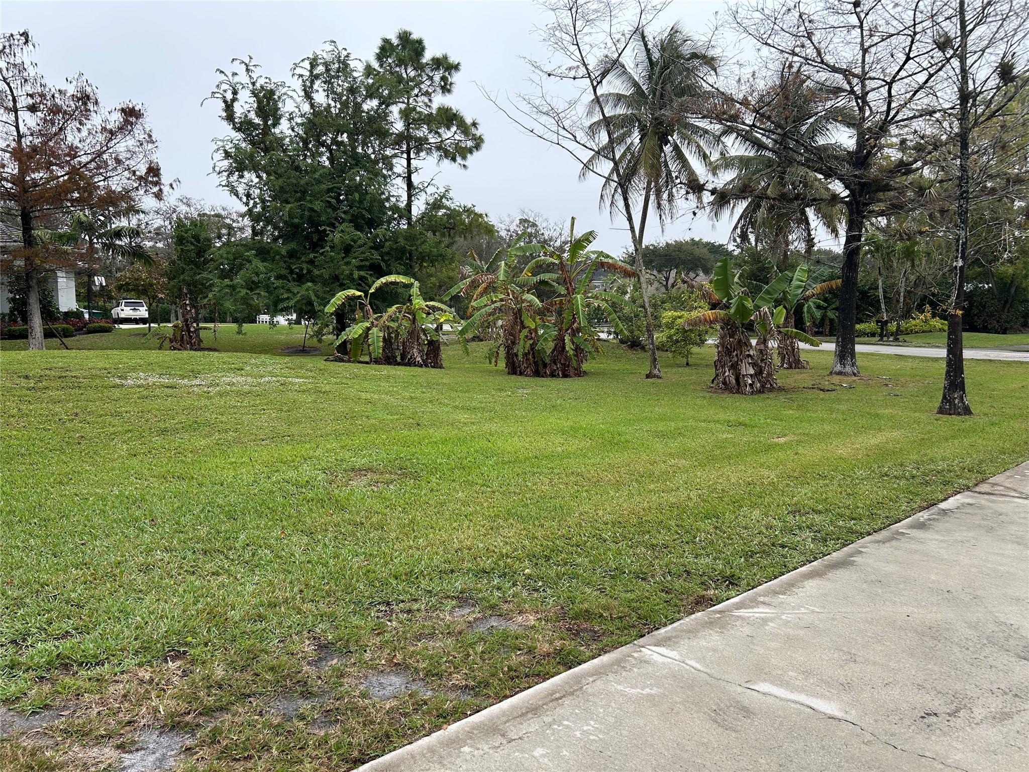 Pine Tree Estates - Residential