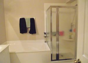 BANYAN SPRINGS - Residential